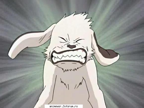 Akamaru - sakura chan - ♣ Naruto♣