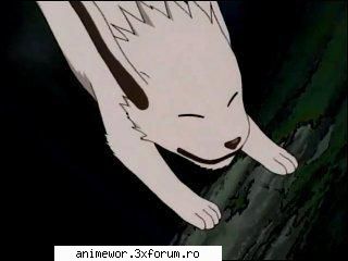 Akamaru - sakura chan - ♣ Naruto♣